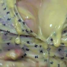 WSMProductions: Mrs. cc Becomes a Custard and Treacle Tart--xxx HD Mov