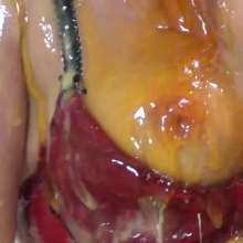 WSMProductions: Mrs. cc Becomes a Custard and Treacle Tart--xxx HD Mov
