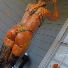 Alana SexyMessyBabes: New Download : Playboy model's 1st savory
