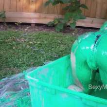 Alana SexyMessyBabes: Slime Sluts 2