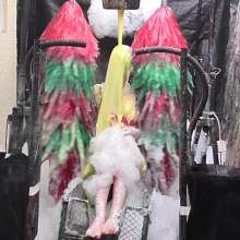 LiquidX: The Human Carwash: Tamara in Pink Bikini