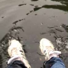 vstyle83: Wet Sneaks in a Pond + Shower Jerk-off