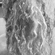 Burrowbear: Experiments with Flour and Water