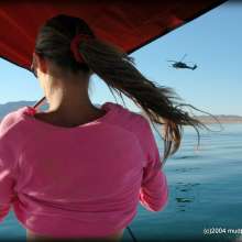 DuncanEdwards: Mud Boobs and Helicopters