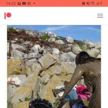 Mudflix: Promo launch rate this weekend at Mudflix!