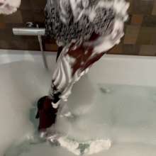 Aqua: Alejandra Makes a Shaving Foam Party
