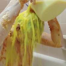 mhop: A Sloppy Savory Sliming