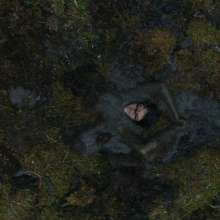 Skills: Mud Alert: New Predator movie 'Prey' Trailer