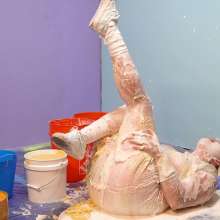 Darla DeVour: Darla's Yellow Springtime Mess and First Honey Experience