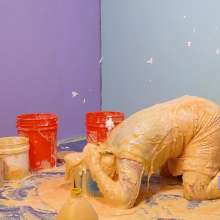 Darla DeVour: Darla's Yellow Springtime Mess and First Honey Experience