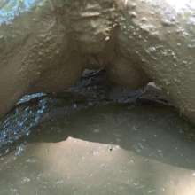 Jayce: Jayce and Mel Make Love in Kentucky Muck Mud!  Mel's 1st Mud!