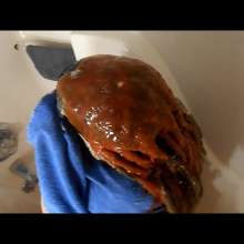 RevSlymsford: Kaydens Pranked With A Nasty Savoury Shampoo
