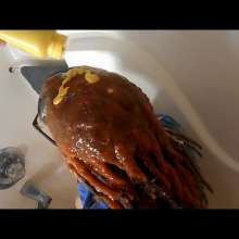 RevSlymsford: Kaydens Pranked With A Nasty Savoury Shampoo