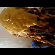 RevSlymsford: Kaydens Pranked With A Nasty Savoury Shampoo
