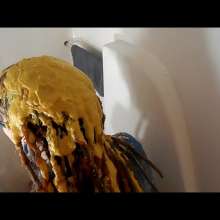 RevSlymsford: Kaydens Pranked With A Nasty Savoury Shampoo