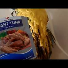 RevSlymsford: Kaydens Pranked With A Nasty Savoury Shampoo