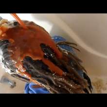 RevSlymsford: Kaydens Pranked With A Nasty Savoury Shampoo