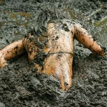dlodoski: Jolly Exploring a Peat Bog #2--Photos