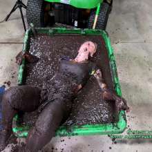 WildThang: National Gardening Exercise Day