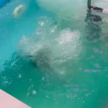 Wet Live Team: A Cold Pool and a Warm Shower--full of My Wet Stuff