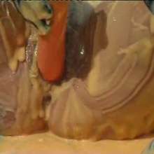 WSMProductions: Anne France  Custard Play in the Garden