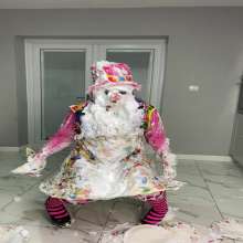 bsmessybakery: Bri's Clown Humiliation Bet
