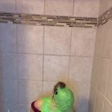 Chloe of PieroProductions: Chloe G. In... Post Gala Slimed