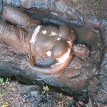 Darkabyss445: Denim Dungarees and Jersey Sensual Mud Play