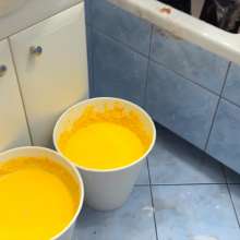 Your Wet Cat: Dirty Ping Pong Games Part 2