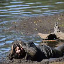 JD and Messy Andi: Muddy Business!