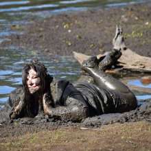 JD and Messy Andi: Muddy Business!