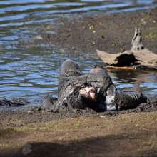 JD and Messy Andi: Muddy Business!
