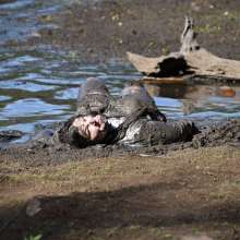 JD and Messy Andi: Muddy Business!