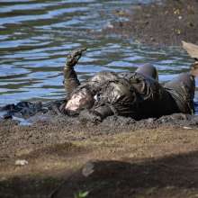 JD and Messy Andi: Muddy Business!