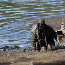 JD and Messy Andi: Muddy Business!