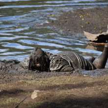 JD and Messy Andi: Muddy Business!