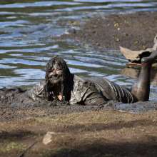 JD and Messy Andi: Muddy Business!