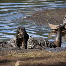 JD and Messy Andi: Muddy Business!