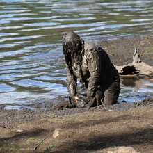 JD and Messy Andi: Muddy Business!
