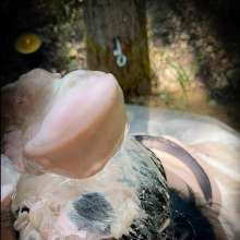 MissNoire - EffToy: MissNoire's Messy Outdoor Ice Cream Blowjob