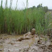 RyuuWammer: Into the Reeds