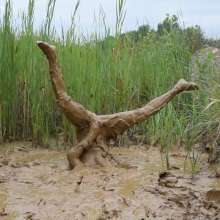 RyuuWammer: Into the Reeds