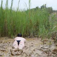 RyuuWammer: Into the Reeds