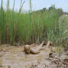 RyuuWammer: Into the Reeds