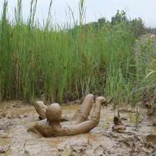 RyuuWammer: Into the Reeds