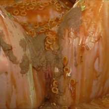 RevSlymsford: Ivy's Ultimate Humiliating Savoury Torture