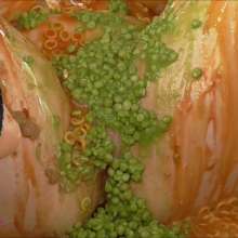 RevSlymsford: Ivy's Ultimate Humiliating Savoury Torture