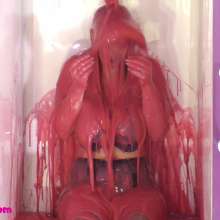 CandyCustard: Lottii Rose Elegant Gunging