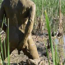 RyuuWammer: Messy Mud Masturbation 2023