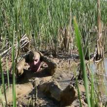RyuuWammer: Messy Mud Masturbation 2023